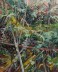 Forest Interior