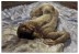 Sleeping