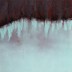 Drip Line
