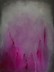 Magenta Rising