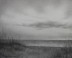 Dunes #4