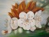Plum Blossom