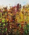 Couleurs d'Automne II