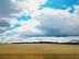 Wheatfield Clouds