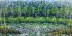 Lost Pond