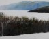 View Over Bare Trees