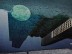 Counterfeit Moon