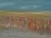 My Mind's Dune