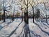 High Park Winter